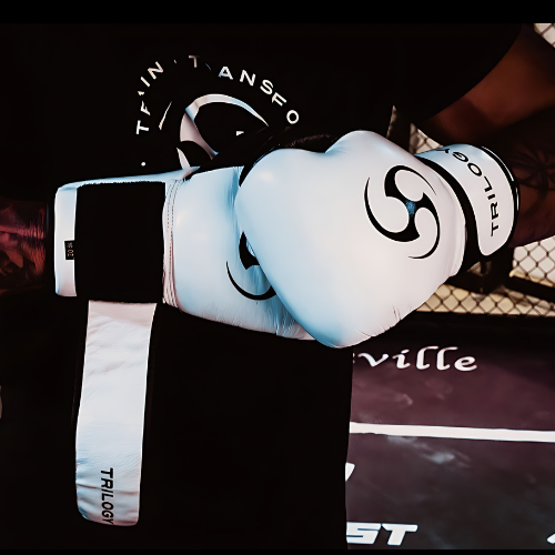 PrecisionStrike Boxing Gloves - Black and White (Adult and Kids)